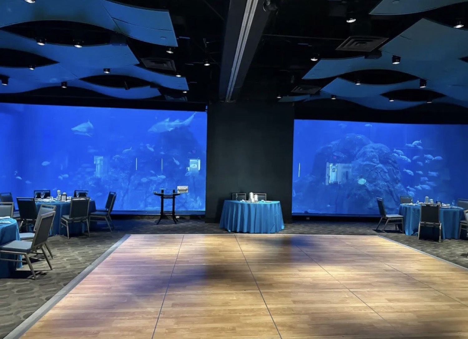 Aquarium venue dance floor