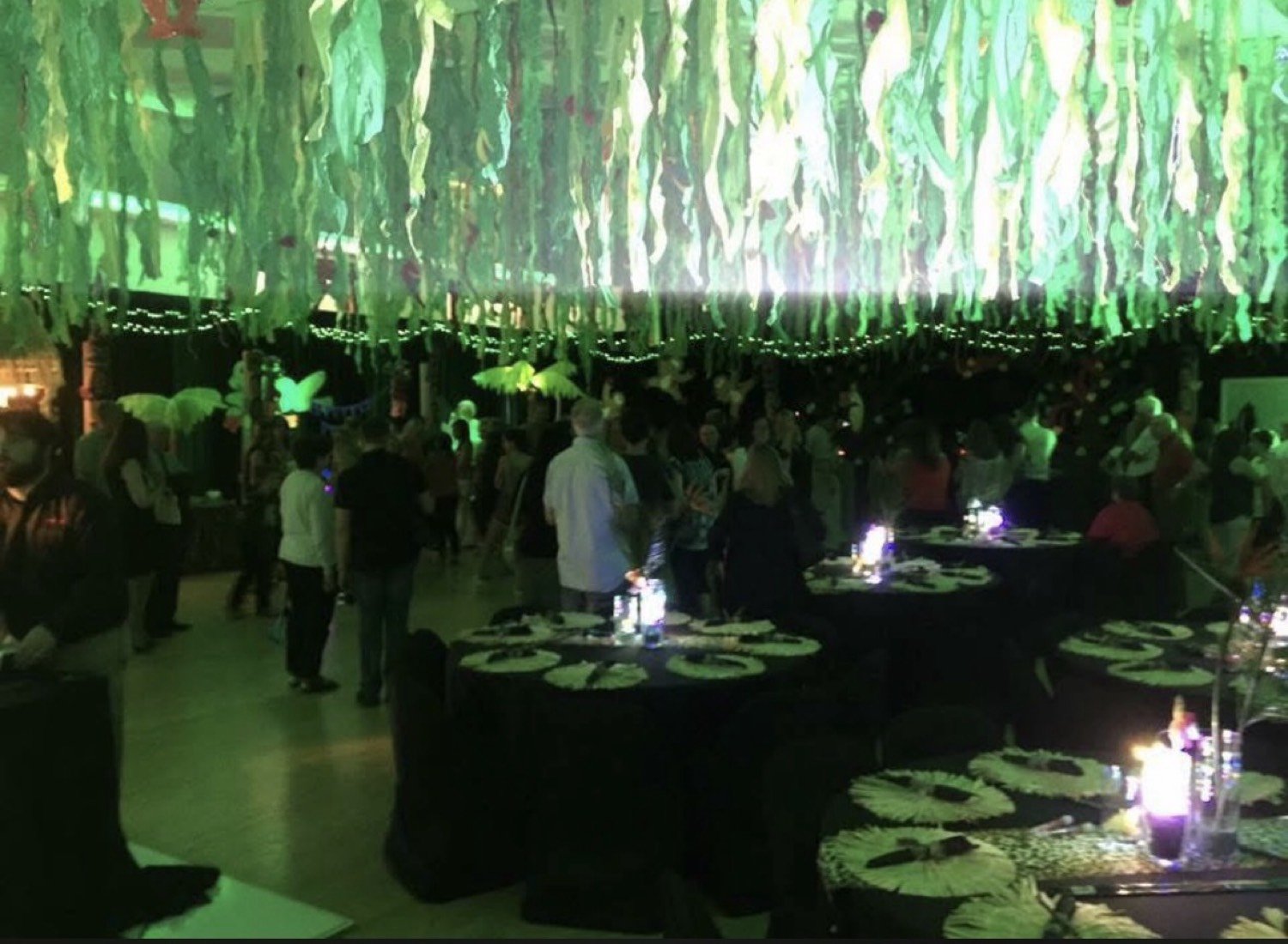 Event venue with hanging ceiling décor and full dance floor